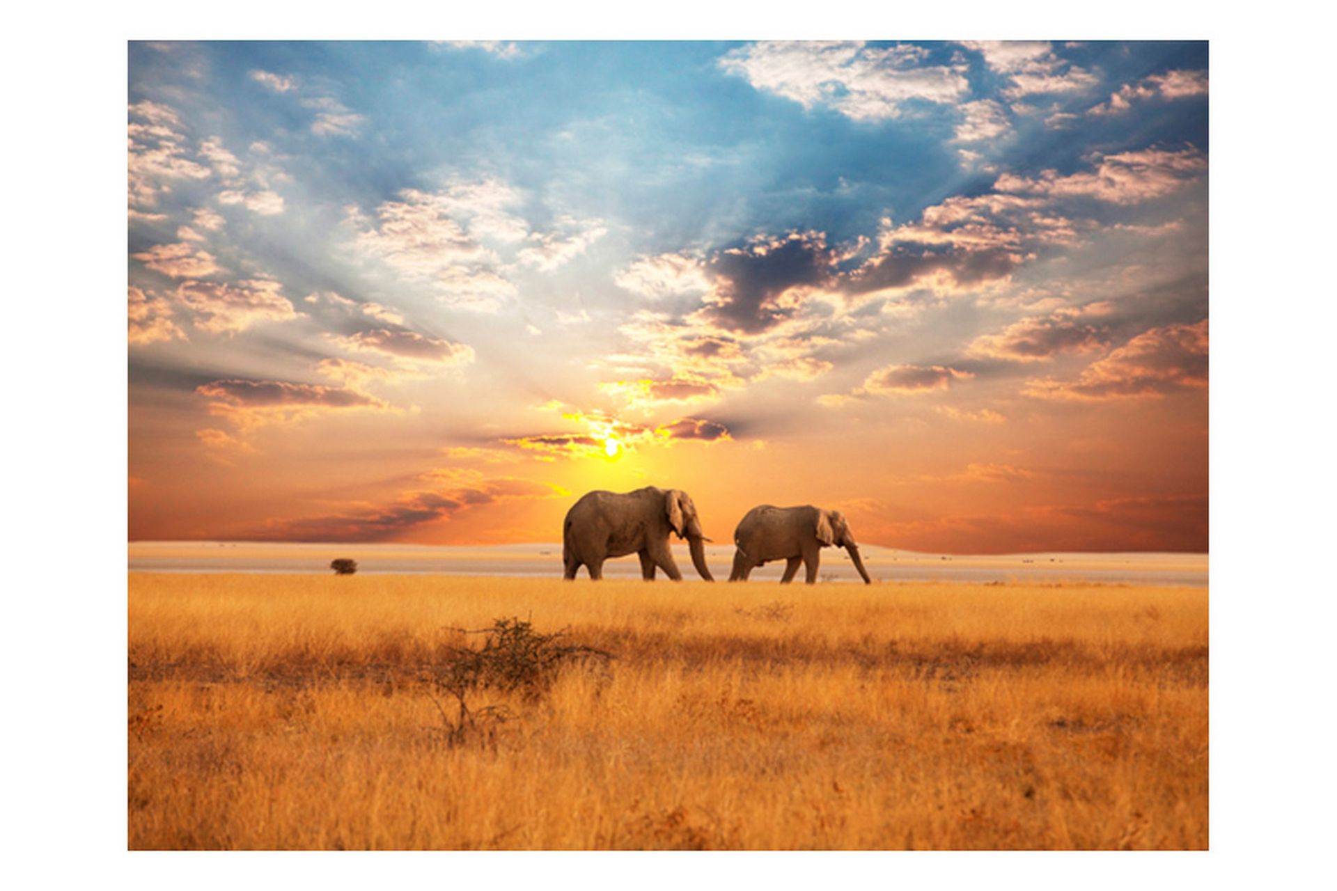 Valokuvatapetti Afrikkalainen savanni Elefantit 400x309 - Artgeist sp. z o. o. - Sisustustuotteet - Seinäkoristeet - Tapetit - Valokuvatapetit
