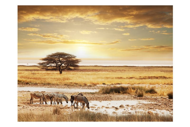 Valokuvatapetti Afrikkalaiset seeprat veden ääressä 400x309 - Artgeist sp. z o. o. - Sisustustuotteet - Seinäkoristeet - Tapetit - Valokuvatapetit
