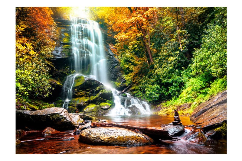 Valokuvatapetti Amazing Wonder of Nature 100x70, Artgeist sp. z o. o.