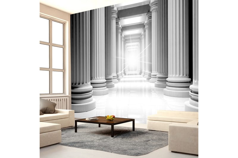 Valokuvatapetti Ancient Parthenon 250x175 - Artgeist sp. z o. o. - Sisustustuotteet - Seinäkoristeet - Tapetit - Valokuvatapetit