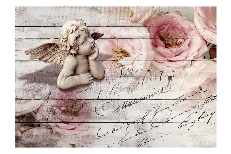 Valokuvatapetti Angel And Calm 100x70 - Artgeist sp. z o. o. - Sisustustuotteet - Seinäkoristeet - Tapetit - Valokuvatapetit