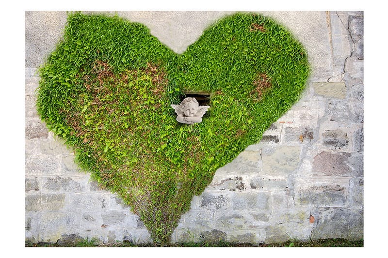 Valokuvatapetti Angel Stole My Heart 400x280, Artgeist sp. z o. o.