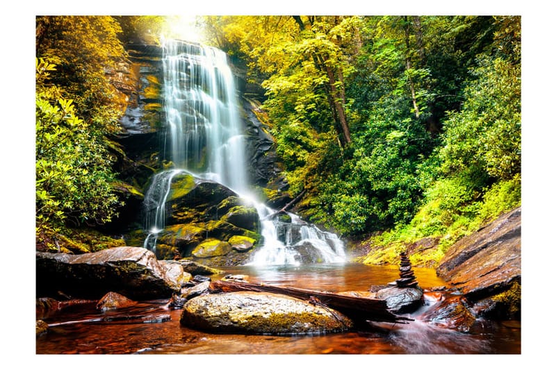 Valokuvatapetti Another Wonder Of Nature 200x140, Artgeist sp. z o. o.