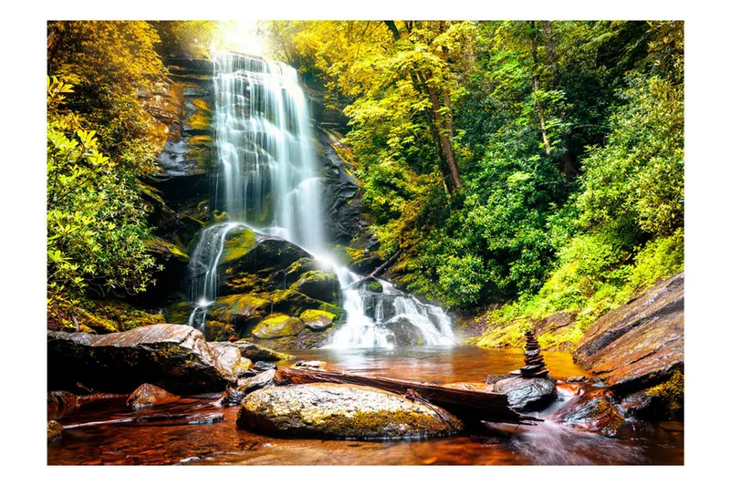 Valokuvatapetti Another Wonder Of Nature 200x140, Artgeist sp. z o. o.