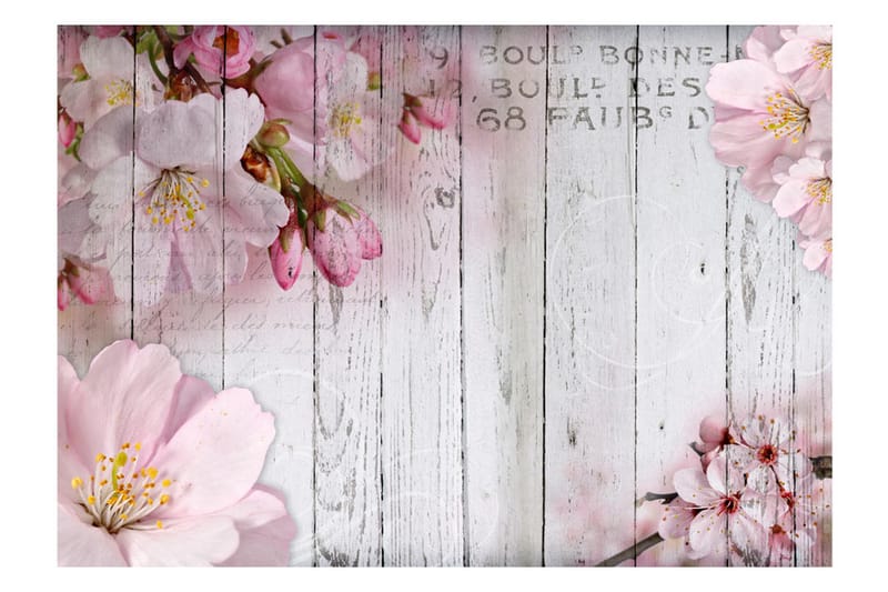 Valokuvatapetti Apple Blossoms 150x105 - Artgeist sp. z o. o. - Sisustustuotteet - Seinäkoristeet - Tapetit - Valokuvatapetit