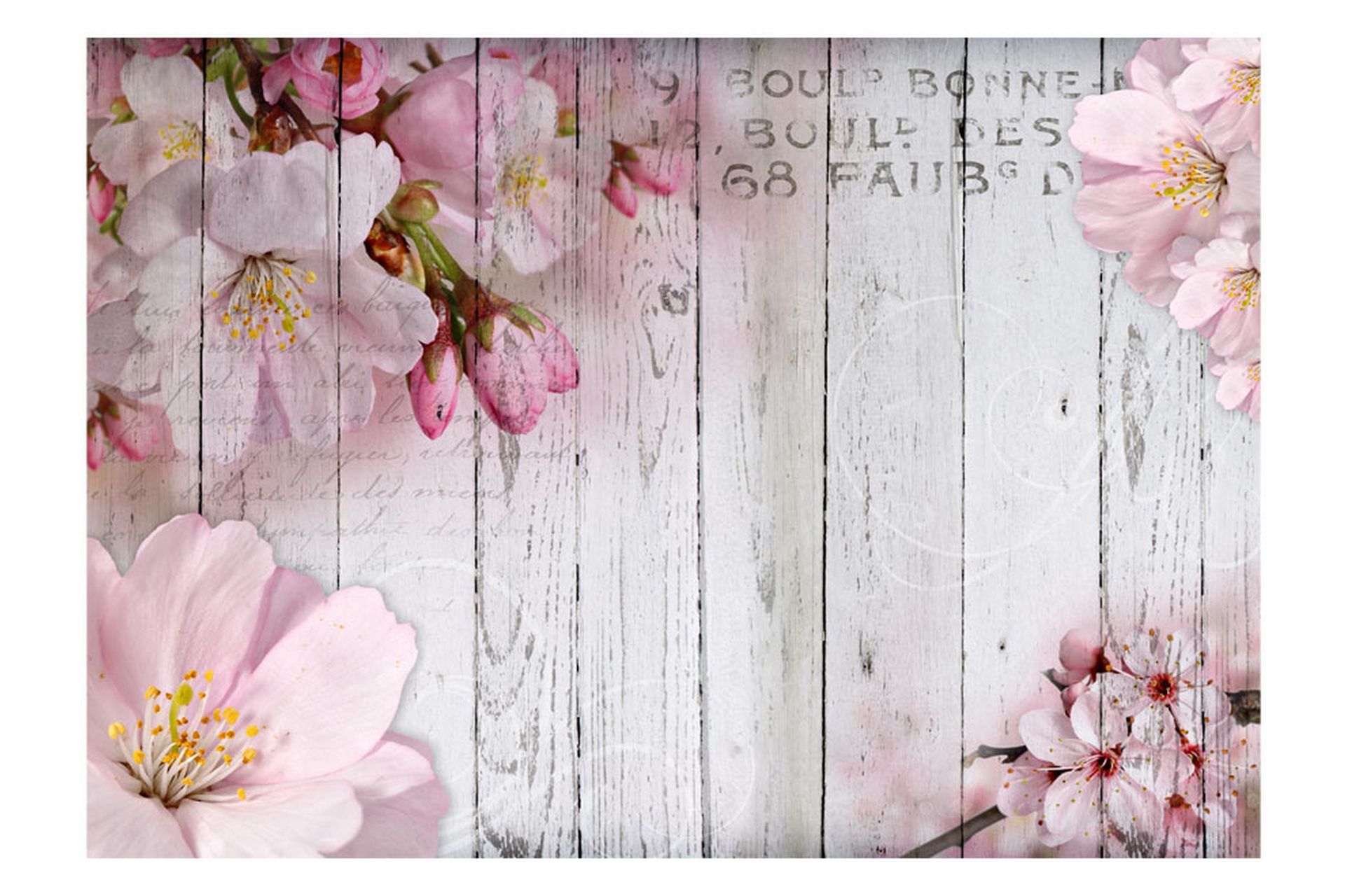 Valokuvatapetti Apple Blossoms 300x210 - Artgeist sp. z o. o. - Sisustustuotteet - Seinäkoristeet - Tapetit - Valokuvatapetit