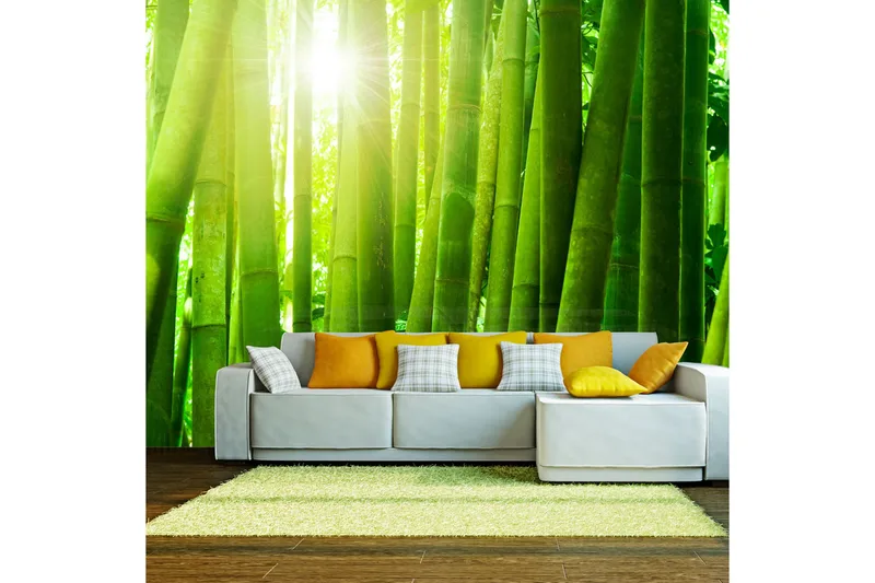Valokuvatapetti Aurinko ja bambu 350x270, Artgeist sp. z o. o.