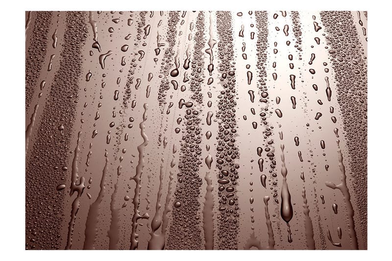 Valokuvatapetti Autumn Drizzle 350x245 - Artgeist sp. z o. o. - Sisustustuotteet - Seinäkoristeet - Tapetit - Valokuvatapetit