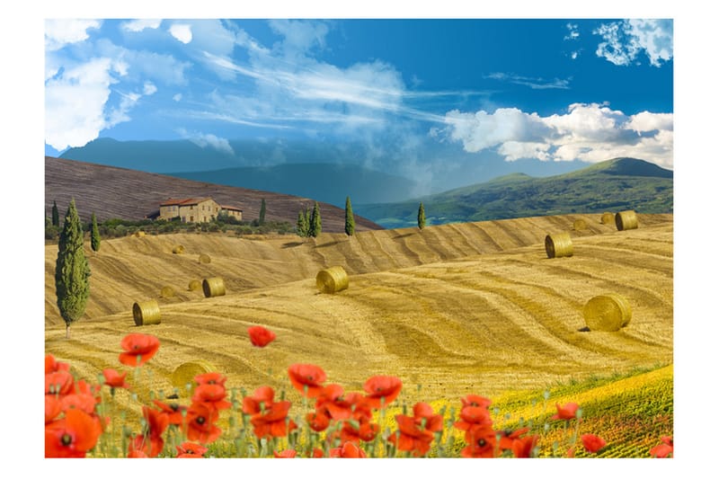 Valokuvatapetti Autumn Landscape 350x245 - Artgeist sp. z o. o. - Sisustustuotteet - Seinäkoristeet - Tapetit - Valokuvatapetit