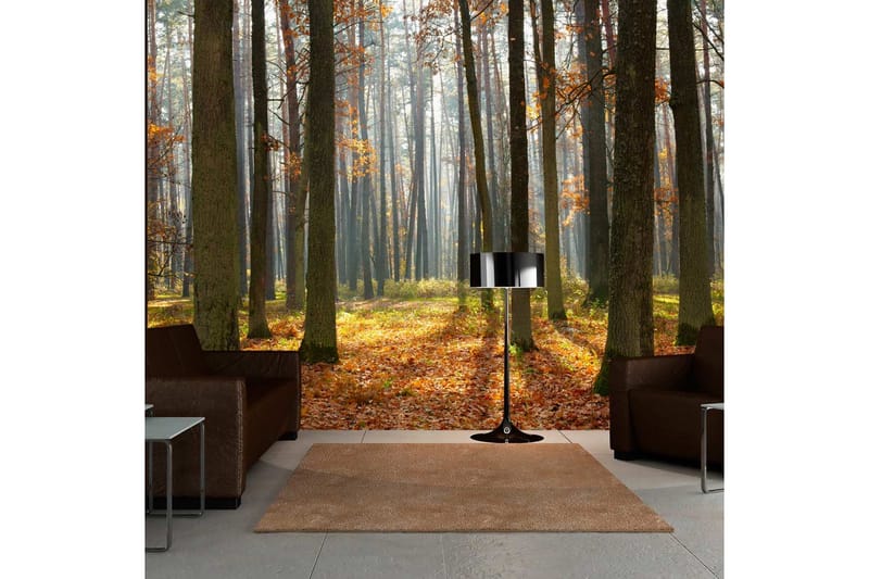 Valokuvatapetti Autumn Trees 250x193 - Artgeist sp. z o. o. - Sisustustuotteet - Seinäkoristeet - Tapetit - Valokuvatapetit