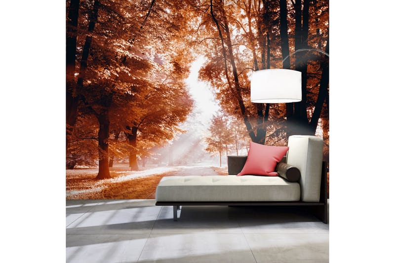 Valokuvatapetti Autumn Park 250x175, Artgeist sp. z o. o.