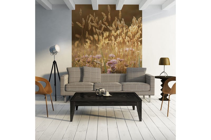 Valokuvatapetti Awakening Ceral Field 350x270 - Artgeist sp. z o. o. - Sisustustuotteet - Seinäkoristeet - Tapetit - Valokuvatapetit