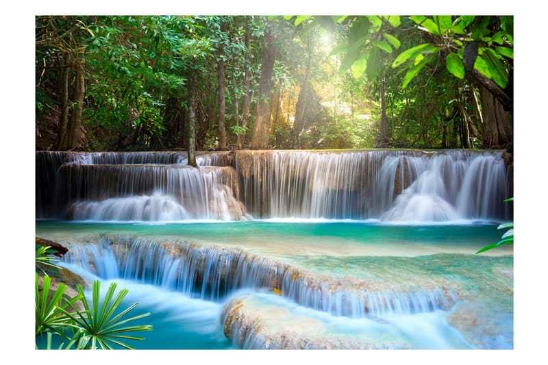 Valokuvatapetti Awakening Of Nature 400x280 - Artgeist sp. z o. o. - Sisustustuotteet - Seinäkoristeet - Tapetit - Valokuvatapetit