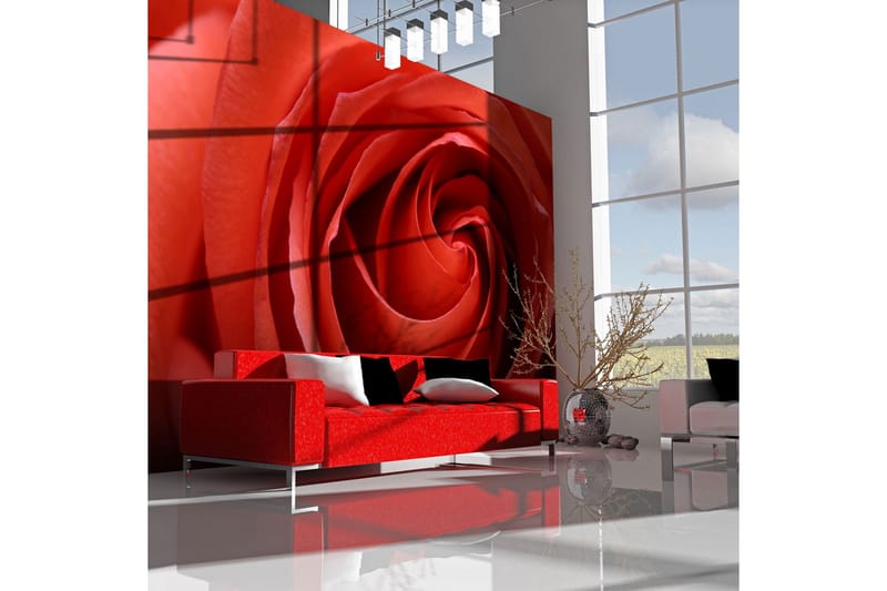 Valokuvatapetti Awakening Rose 200x154, Artgeist sp. z o. o.