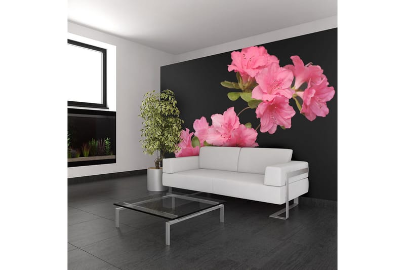Valokuvatapetti Azalea In Black 400x309, Artgeist sp. z o. o.