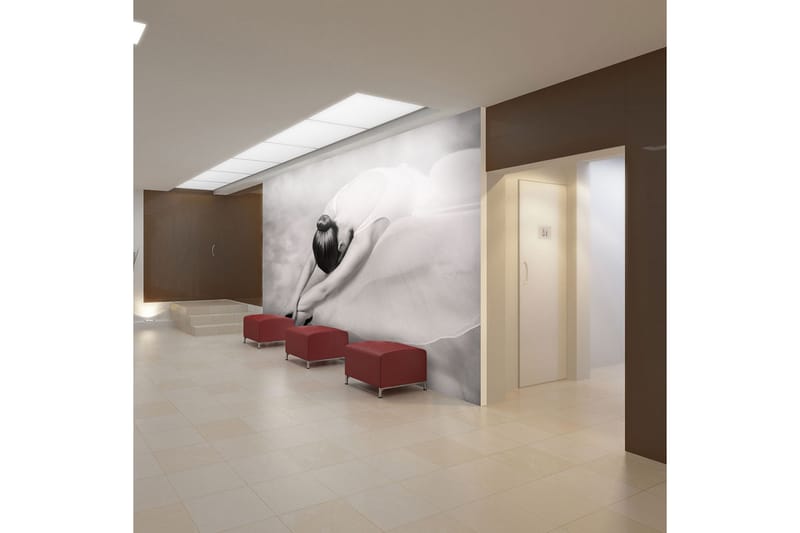 Valokuvatapetti Ballerina 200x154, Artgeist sp. z o. o.