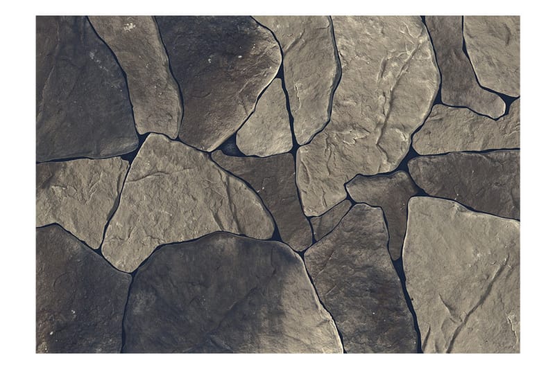 Valokuvatapetti Baltic Brown 200x140 - Artgeist sp. z o. o. - Sisustustuotteet - Seinäkoristeet - Tapetit - Valokuvatapetit