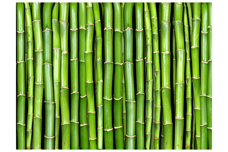 Valokuvatapetti Bamboo Wall 350x270, Artgeist sp. z o. o.