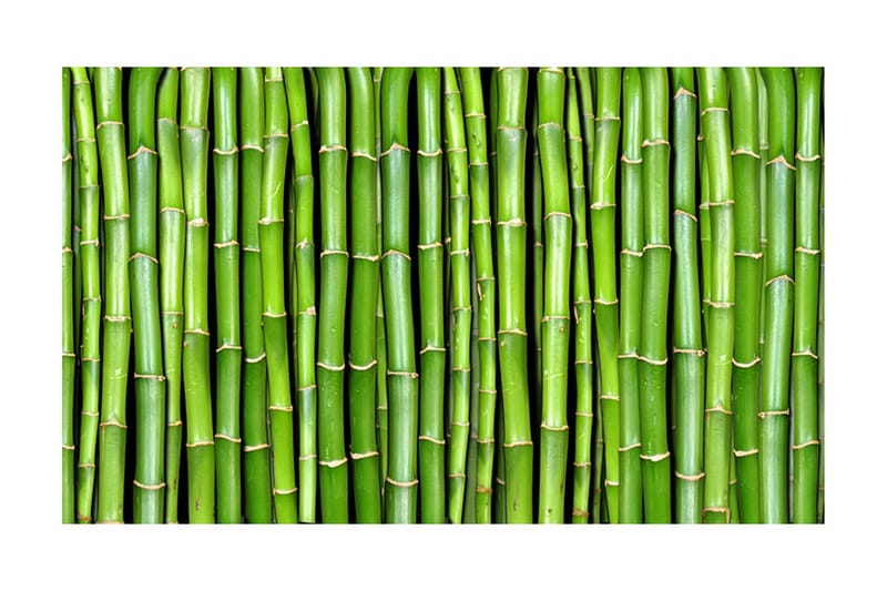 Valokuvatapetti Bamboo Wall 450x270, Artgeist sp. z o. o.