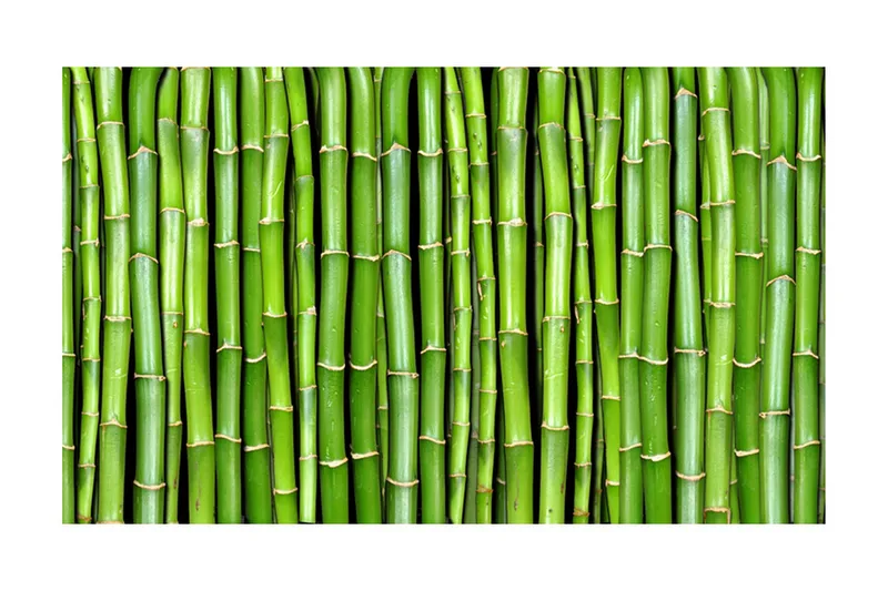 Valokuvatapetti Bamboo Wall 450x270, Artgeist sp. z o. o.