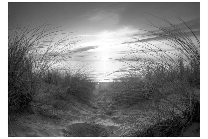 Valokuvatapetti Beach Black And White 200x140 - Artgeist sp. z o. o. - Sisustustuotteet - Seinäkoristeet - Tapetit - Valokuvatapetit