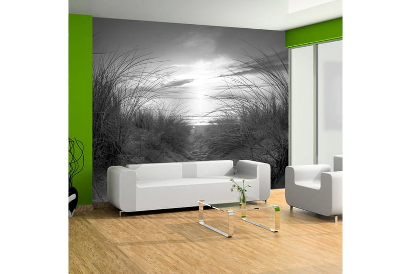Valokuvatapetti Beach Black And White 250x175, Artgeist sp. z o. o.