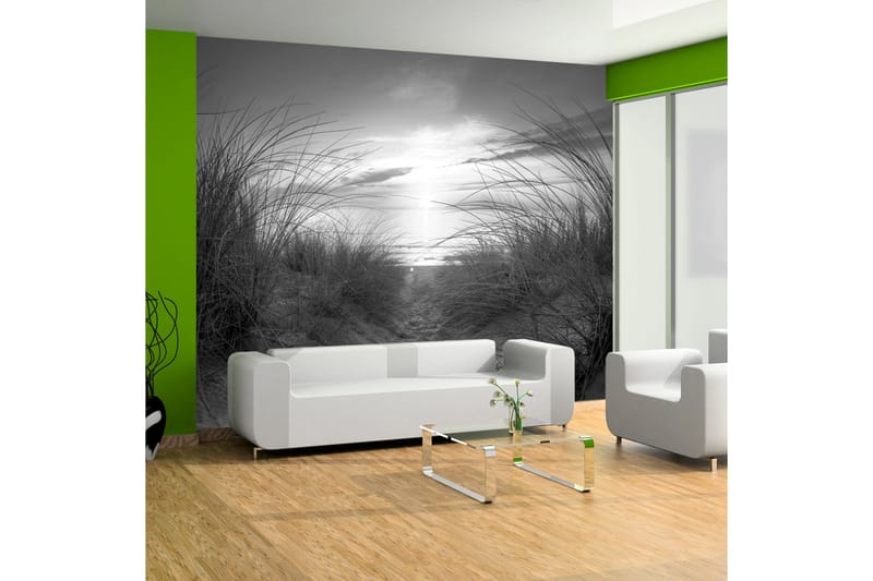 Valokuvatapetti Beach Black And White 400x280, Artgeist sp. z o. o.