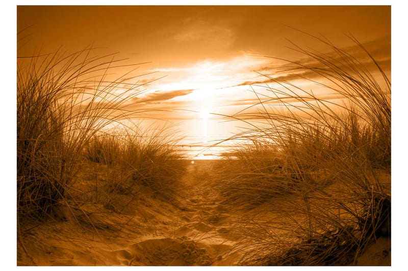 Valokuvatapetti Beach Sepia 300x210 - Artgeist sp. z o. o. - Sisustustuotteet - Seinäkoristeet - Tapetit - Valokuvatapetit