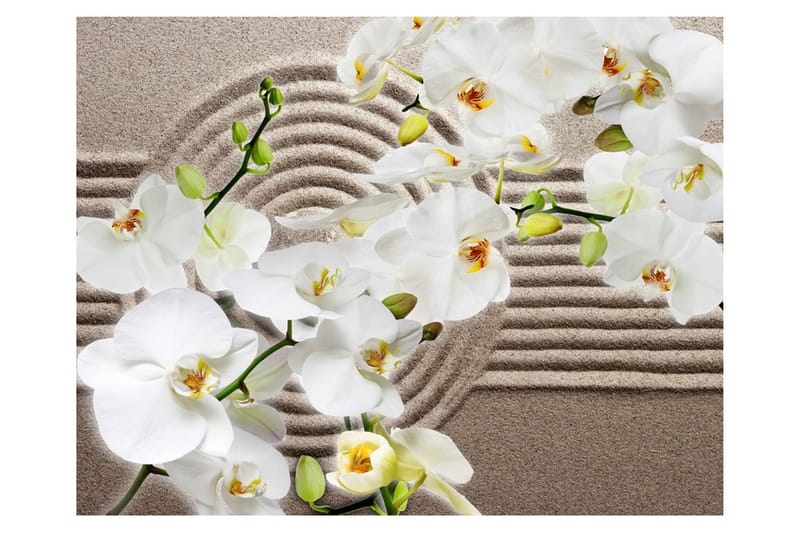 Valokuvatapetti Beautiful Zen Garden 200x154, Artgeist sp. z o. o.