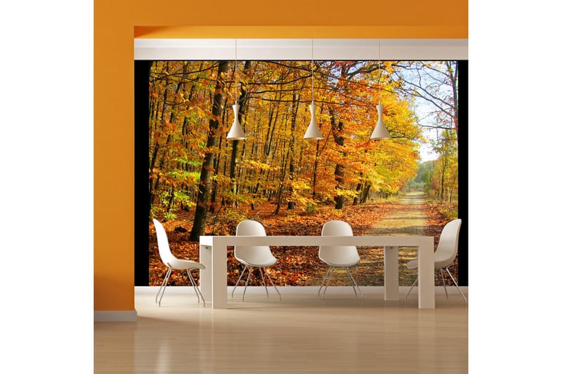 Valokuvatapetti Beech Forest 350x270 - Artgeist sp. z o. o. - Sisustustuotteet - Seinäkoristeet - Tapetit - Valokuvatapetit