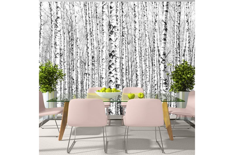 Valokuvatapetti Birch Forest 100x70 - Artgeist sp. z o. o. - Sisustustuotteet - Seinäkoristeet - Tapetit - Valokuvatapetit