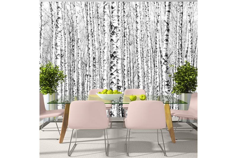 Valokuvatapetti Birch Forest 200x140, Artgeist sp. z o. o.