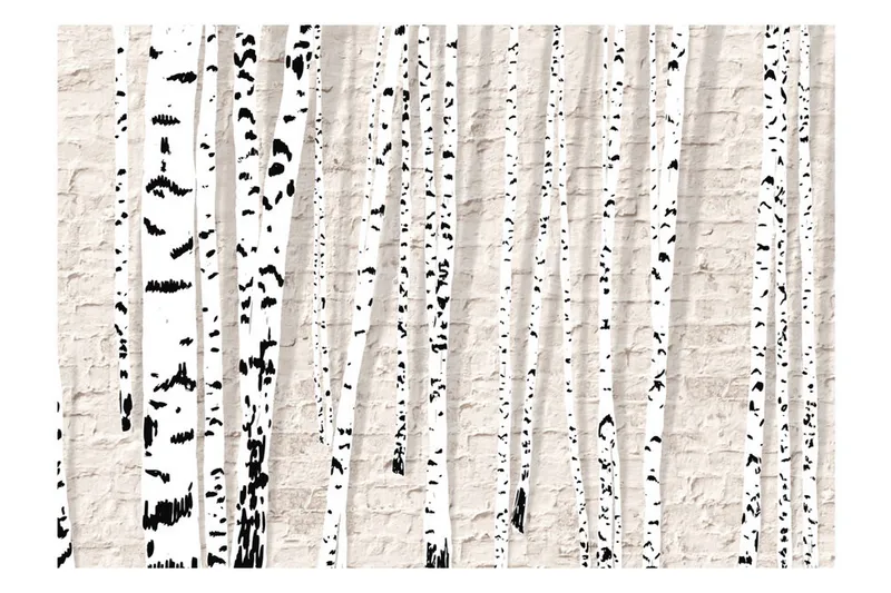 Valokuvatapetti Birchen Grove 100x70 - Artgeist sp. z o. o. - Sisustustuotteet - Seinäkoristeet - Tapetit - Valokuvatapetit