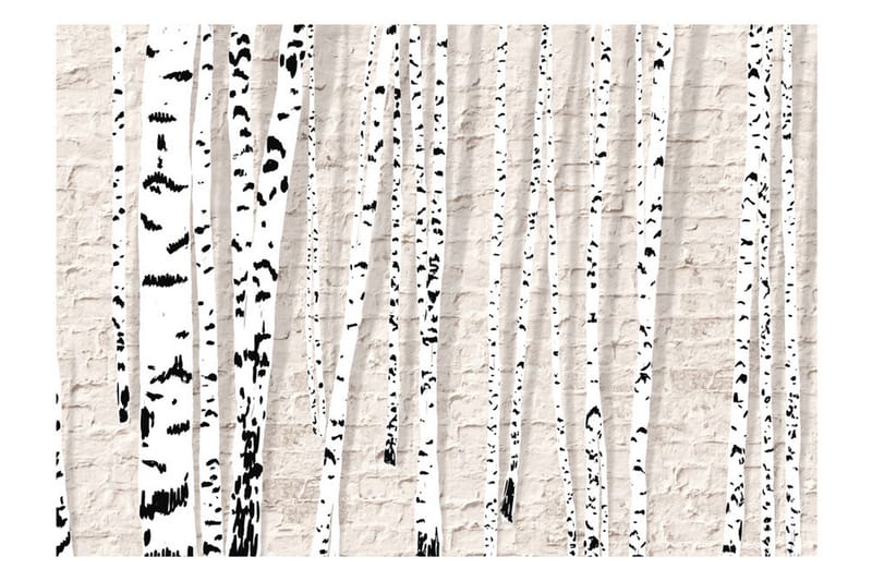 Valokuvatapetti Birchen Grove 300x210 - Artgeist sp. z o. o. - Sisustustuotteet - Seinäkoristeet - Tapetit - Valokuvatapetit