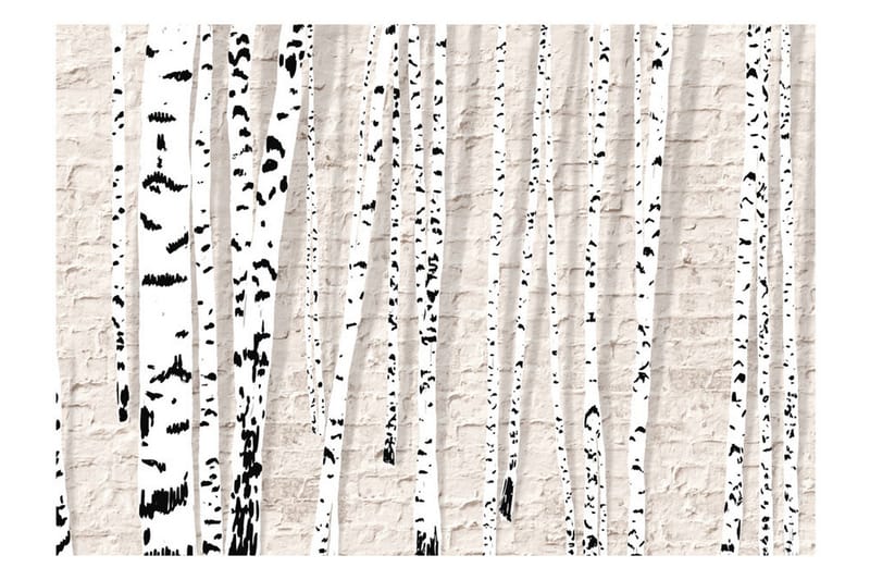 Valokuvatapetti Birchen Grove 300x210 - Artgeist sp. z o. o. - Sisustustuotteet - Seinäkoristeet - Tapetit - Valokuvatapetit