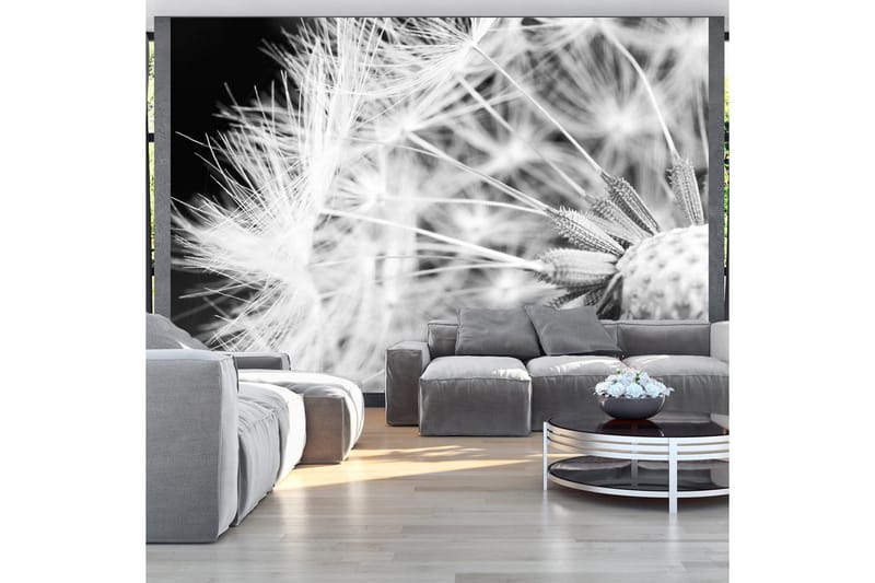 Valokuvatapetti Black And White Dandelion 150x105, Artgeist sp. z o. o.
