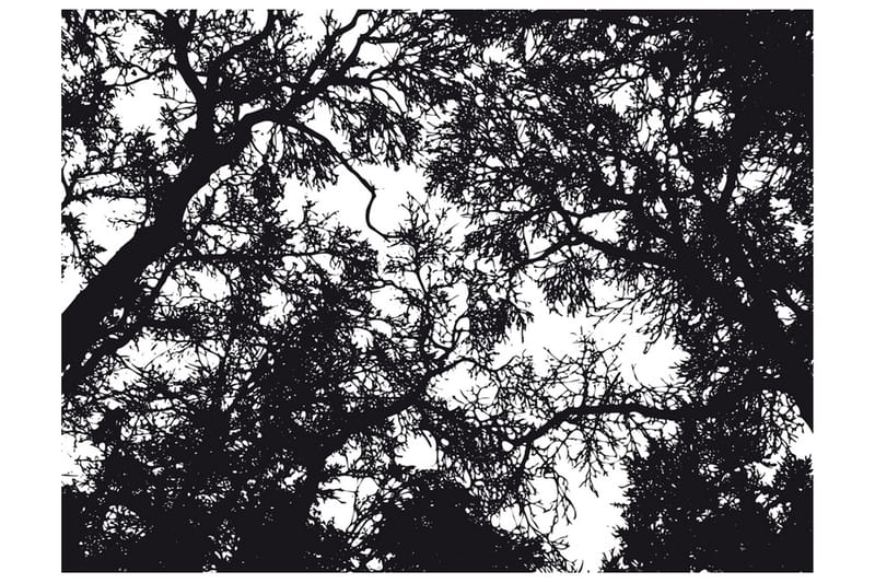 Valokuvatapetti Bleak Forest 300x231 - Artgeist sp. z o. o. - Sisustustuotteet - Seinäkoristeet - Tapetit - Valokuvatapetit