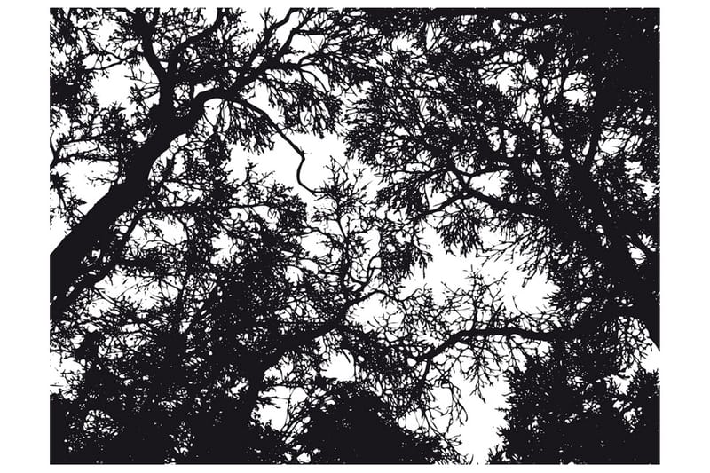Valokuvatapetti Bleak Forest 300x231 - Artgeist sp. z o. o. - Sisustustuotteet - Seinäkoristeet - Tapetit - Valokuvatapetit