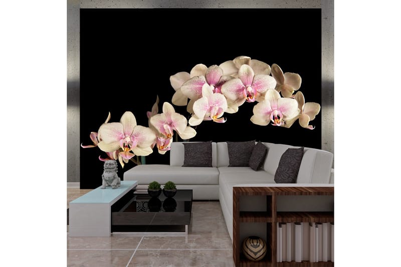 Valokuvatapetti Blooming Orchid 250x193, Artgeist sp. z o. o.