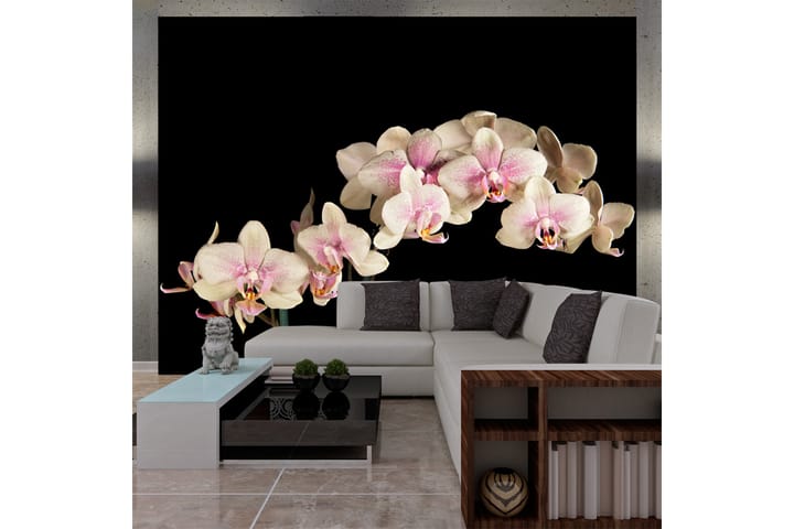 Valokuvatapetti Blooming Orchid 300x231 - Artgeist sp. z o. o. - Valokuvatapetit