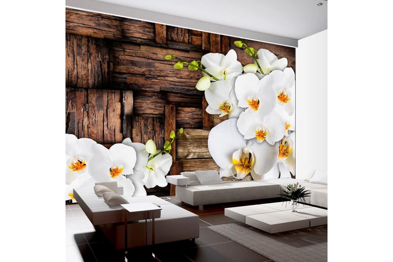 Valokuvatapetti Blooming Orchids 100x70 - Artgeist sp. z o. o. - Sisustustuotteet - Seinäkoristeet - Tapetit - Valokuvatapetit