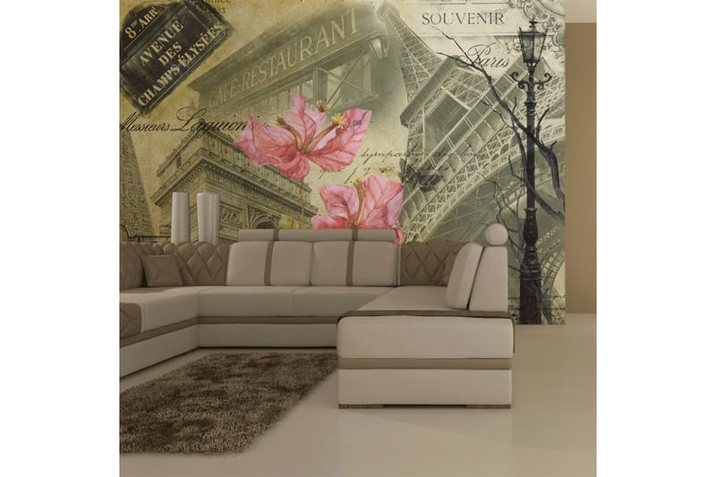 Valokuvatapetti Bonjour Paris! 250x193 - Artgeist sp. z o. o. - Sisustustuotteet - Seinäkoristeet - Tapetit - Valokuvatapetit
