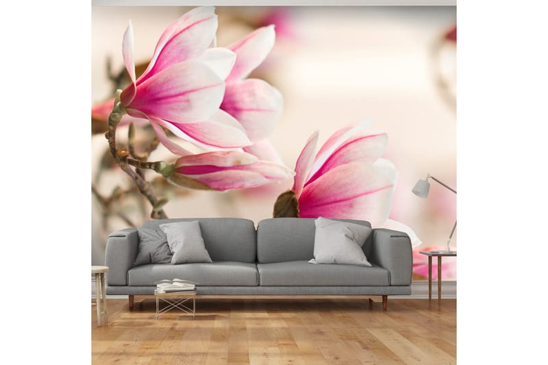 Valokuvatapetti Branch Of Magnolia Tree 200x154, Artgeist sp. z o. o.