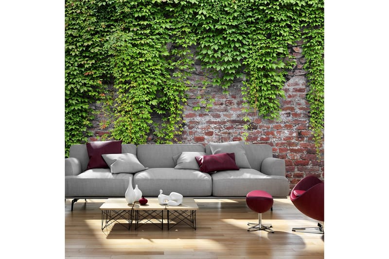 Valokuvatapetti Brick And Ivy 300x210 - Artgeist sp. z o. o. - Sisustustuotteet - Seinäkoristeet - Tapetit - Valokuvatapetit