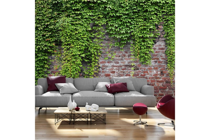Valokuvatapetti Brick And Ivy 350x245, Artgeist sp. z o. o.