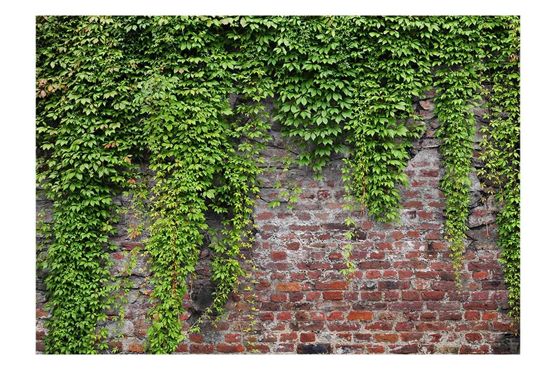 Valokuvatapetti Brick And Ivy 400x280 - Artgeist sp. z o. o. - Sisustustuotteet - Seinäkoristeet - Tapetit - Valokuvatapetit