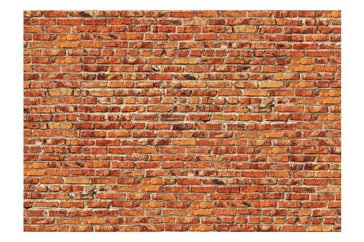 Valokuvatapetti Brick Wall 250x175 - Artgeist sp. z o. o. - Valokuvatapetit