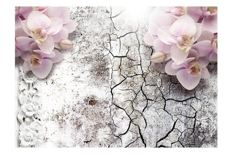 Valokuvatapetti Bright Red Orchids 250x175 - Artgeist sp. z o. o. - Sisustustuotteet - Seinäkoristeet - Tapetit - Valokuvatapetit