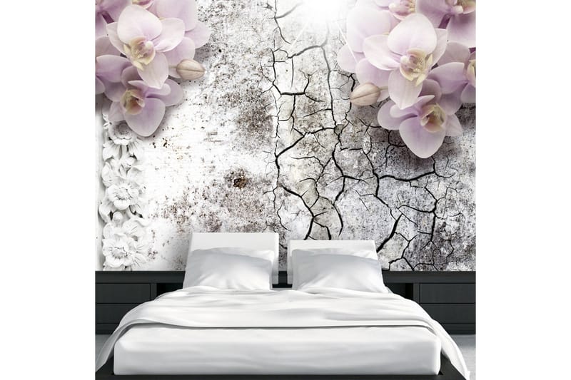 Valokuvatapetti Bright Red Orchids 350x245, Artgeist sp. z o. o.