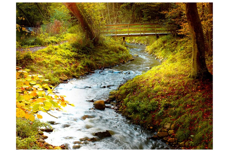 Valokuvatapetti Brook Sunrise 400x309, Artgeist sp. z o. o.
